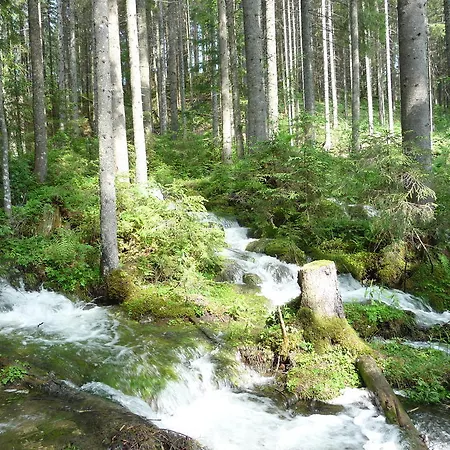 Apartament Gaestehaus Kuehnle *