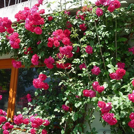 Gaestehaus Kuehnle Pichl bei Aussee