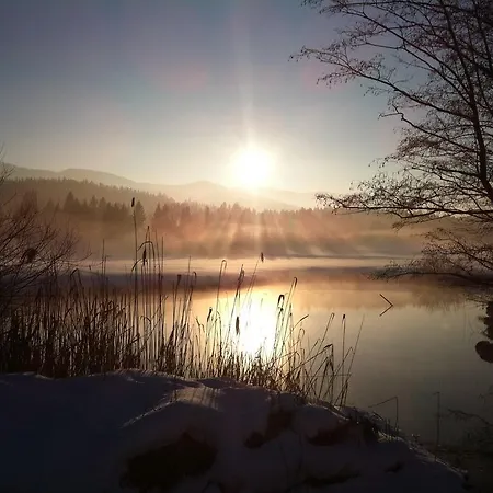 Apartamento Gaestehaus Kuehnle