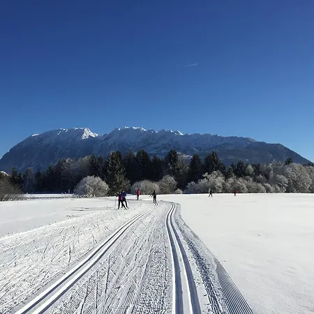 Gaestehaus Kuehnle Apartamento *