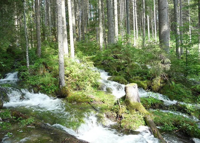 شقة Gaestehaus Kuehnle *