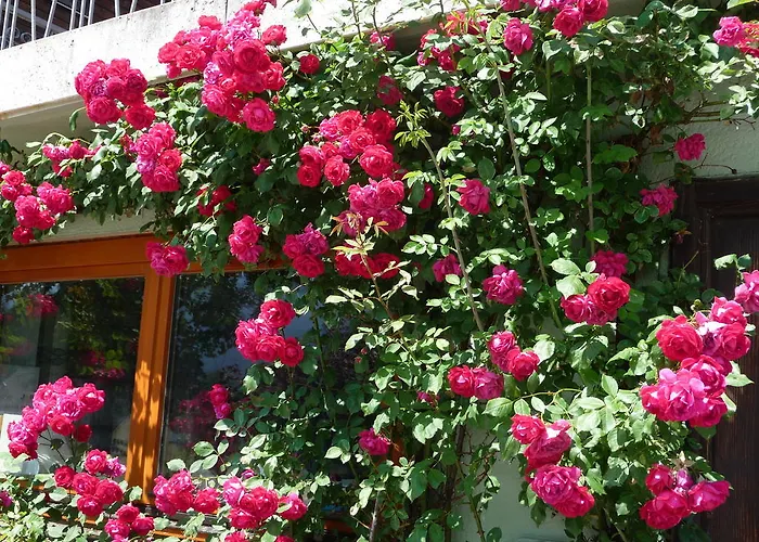 Gaestehaus Kuehnle Pichl bei Aussee