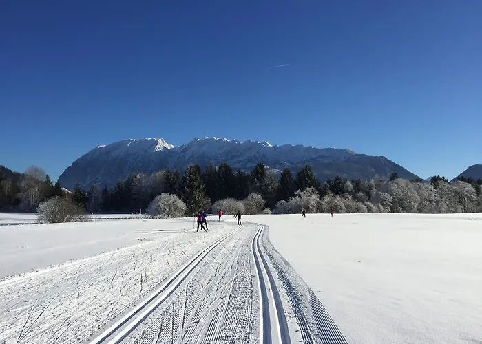 Gaestehaus Kuehnle شقة *